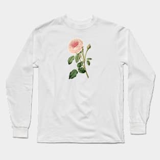 Pink Rose Flower Vintage Botanical Illustration Long Sleeve T-Shirt